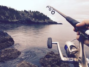 Read more about the article “Selecting the Perfect Fishing Rod: A Comprehensive Guide”