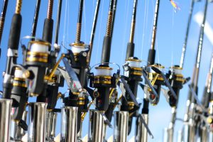 Read more about the article Spinning vs. Casting: Which Fishing Rod is Right for You?”